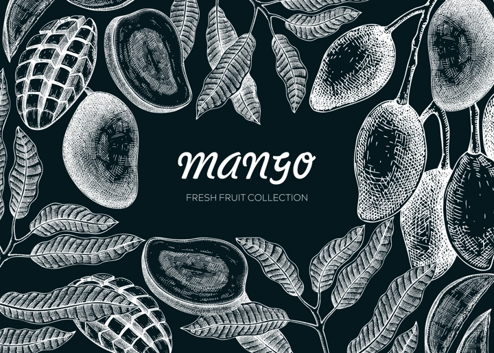 Exotic fruit background. Mango hand-drawn vector illustration on chalkboard. Mango fruit,  tree branches, leaves sketches. Vintage frame, juice packaging, print. Summer design element